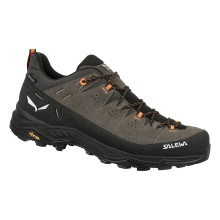 Salewa Hiking Shoes Alp Trainer 2 GTX (Alpine, Suede, waterproof) brown Men